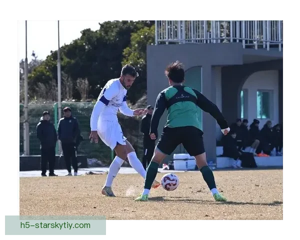 南京城市签下喀麦隆锋将恩戈姆
