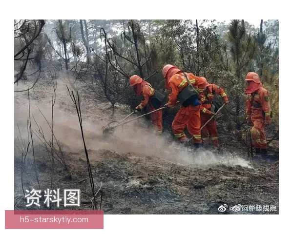 森林前老板遭劫被刺重伤冲突中